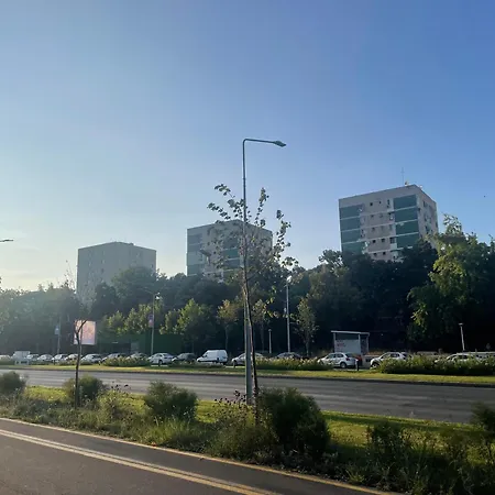 Moghioros Drumul Taberei